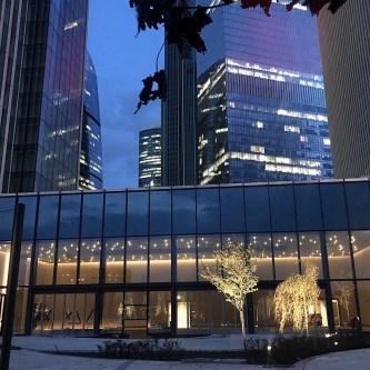 Neva Towers